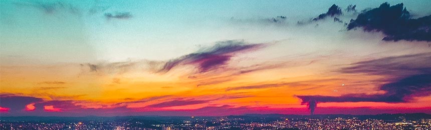 青海茶虫网_青海品茶